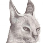 Caracal